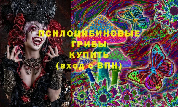 МДПВ Алексин